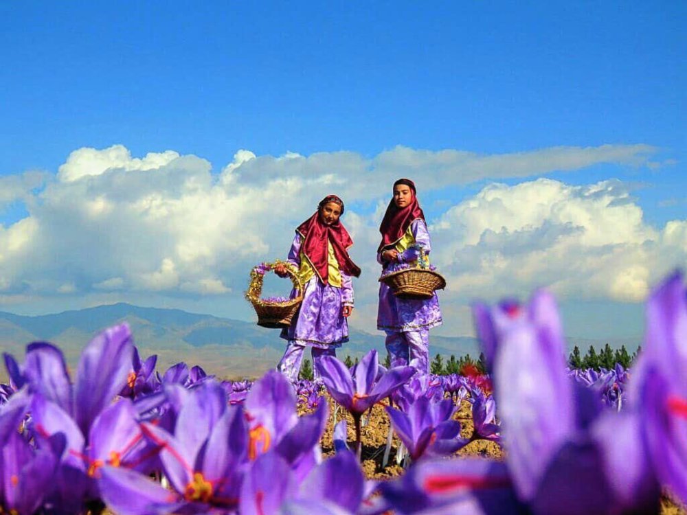 دستور العمل مجوز گردشگری کشاورزی | هتل توریستی ایران